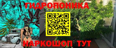 jwh Кимры