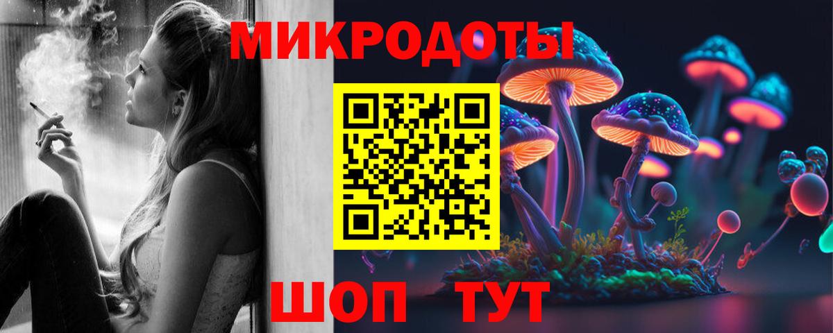 Псилоцибиновые грибы GOLDEN TEACHER  Вход с VPN  Йошкар-Ола 